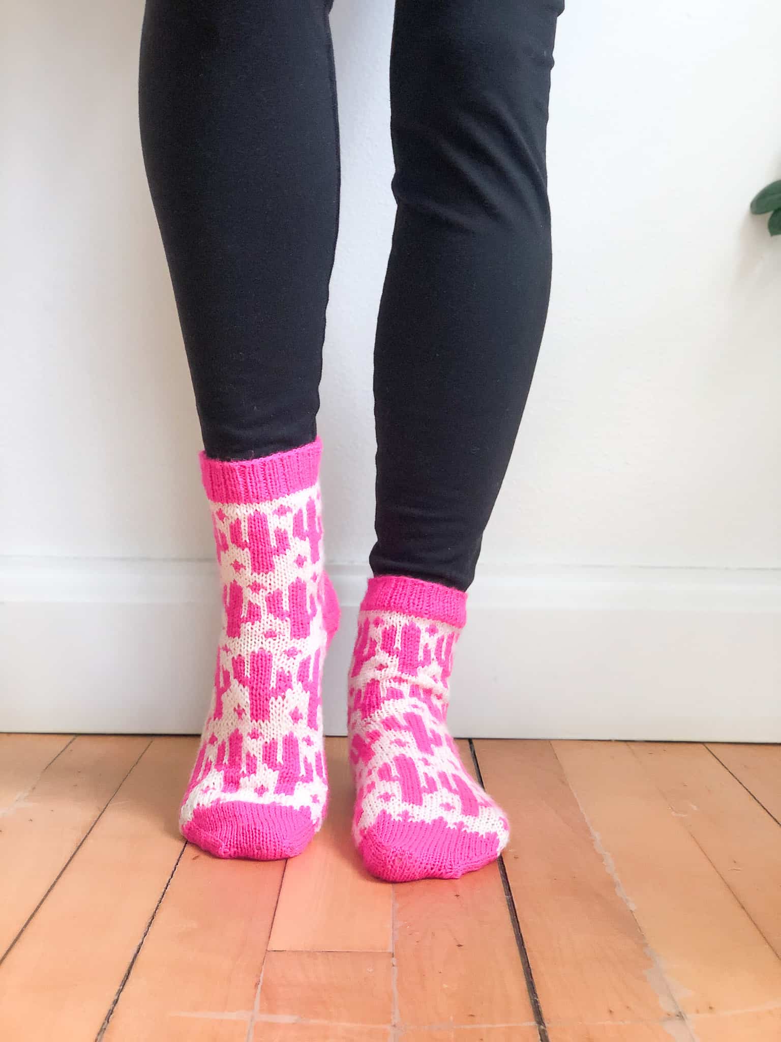 Saguaro Blossom Socks – Free Cactus Socks Knitting Pattern